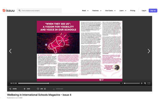 When They See Us Wellbeing in International Schools blog screenshot