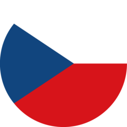 Czechia Flag