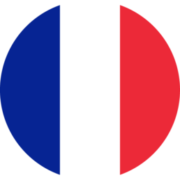 France Flag