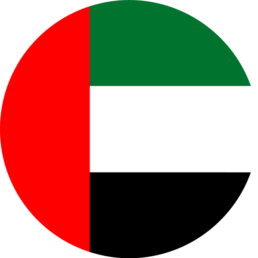 United Arab Emirates Flag