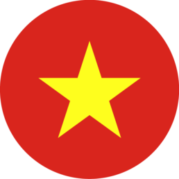 Vietnam Flag