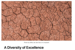 A diversity of excellence