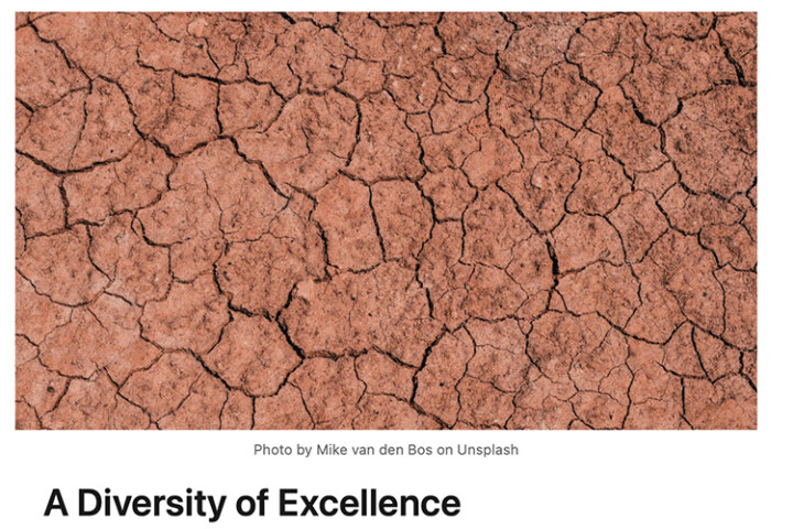 A diversity of excellence