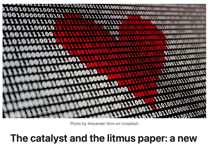 The catalyst and the litmus paper