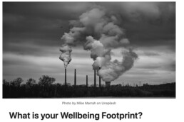 What is your wellbeing footprint linkedin